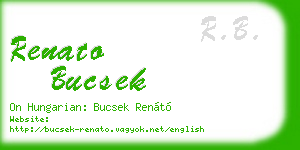 renato bucsek business card